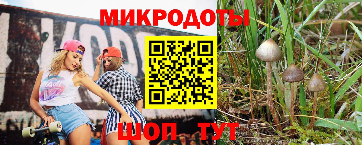 Псилоцибиновые грибы ЛСД  Вход с VPN  Черкесск 