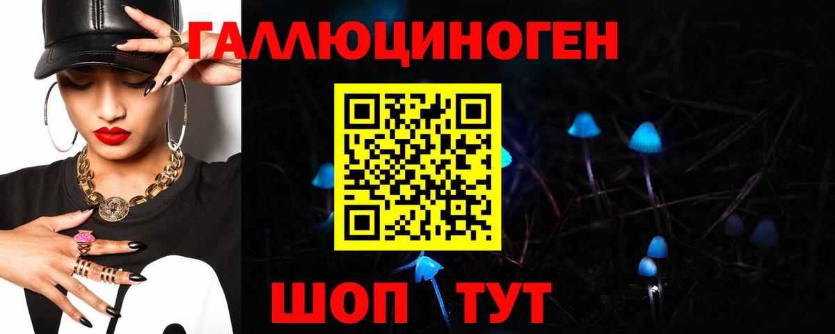 Псилоцибиновые грибы Psilocybe Черкесск